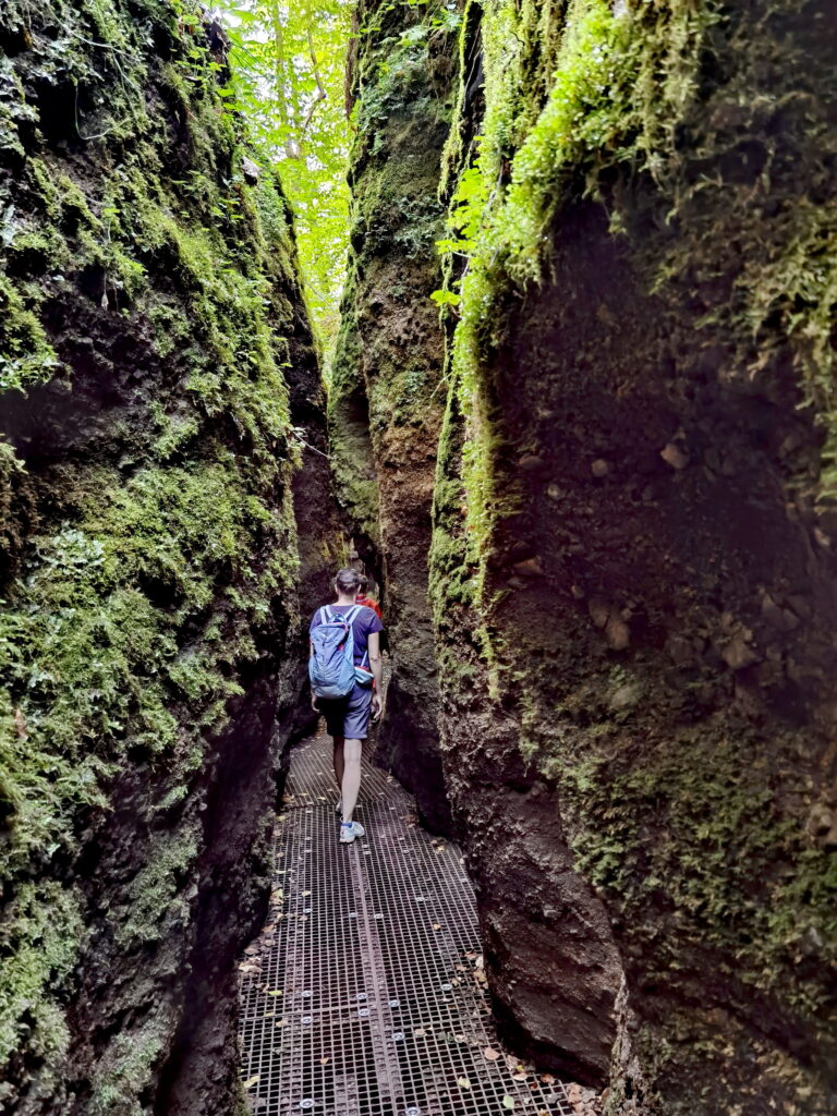 Die Drachenschlucht ist eines der beliebten Ausflugsziele in Deutschland