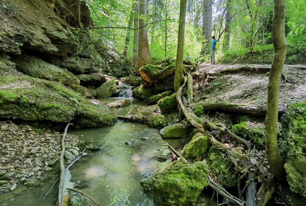 Maisinger Schlucht am Starnberger See