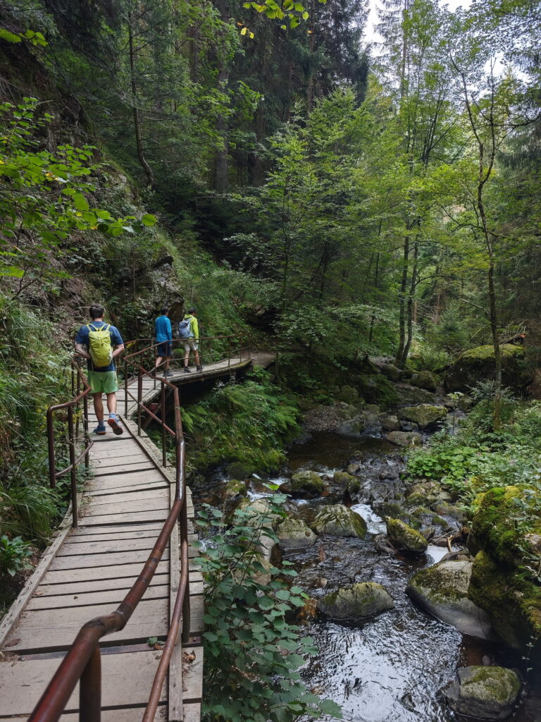 Durch die Ravennaschlucht im Schwarzwald wandern